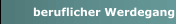 beruflicher Werdegang