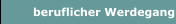 beruflicher Werdegang